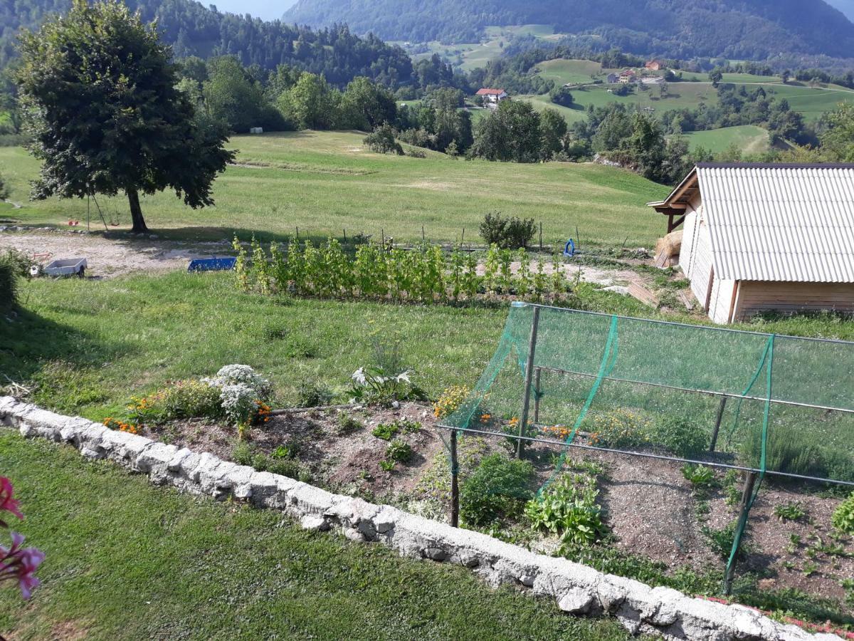 Apartmaji Berginc Kobarid Zewnętrze zdjęcie