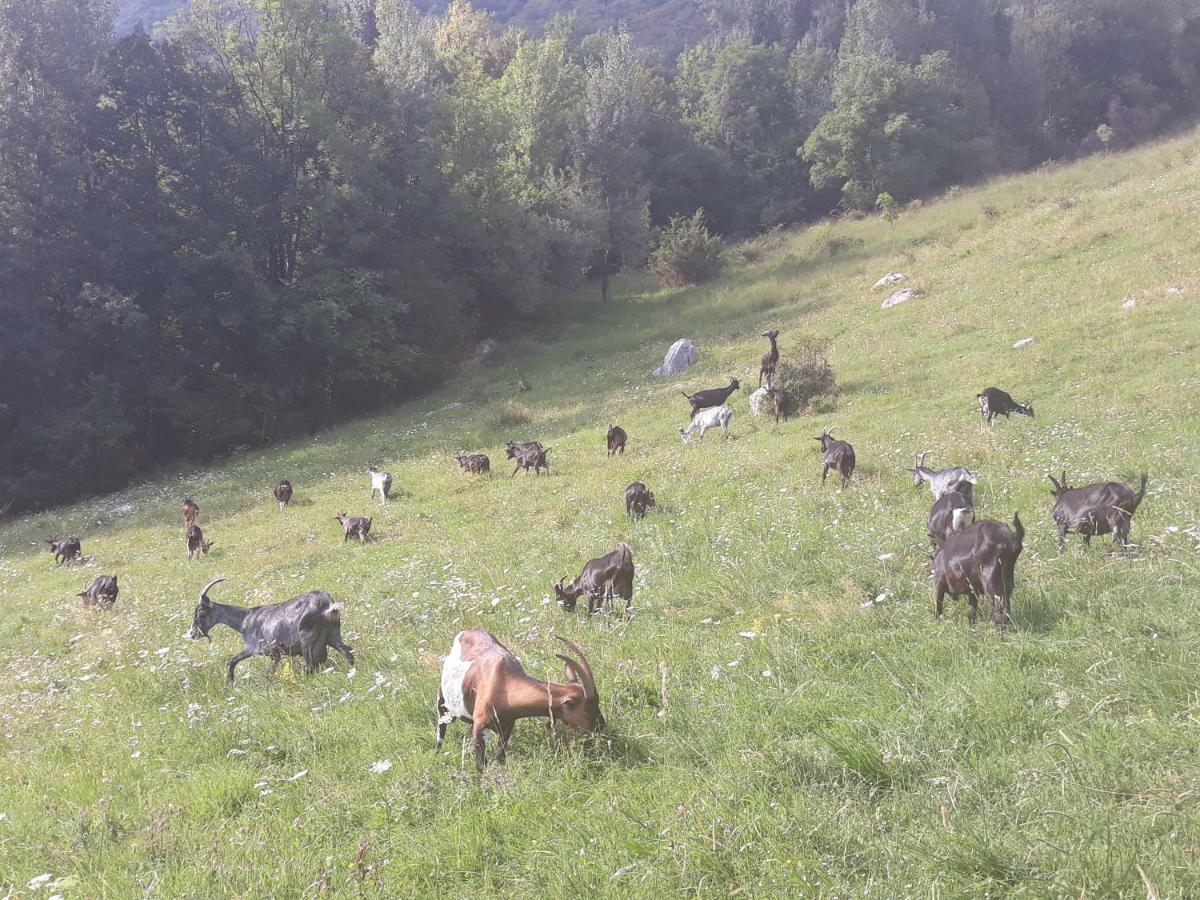 Apartmaji Berginc Kobarid Zewnętrze zdjęcie
